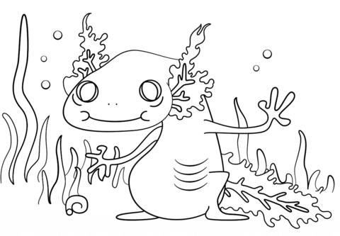 Cartoon Axolotl Coloring Page